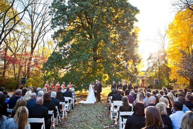 vows, nashville, wedding, tree altar, travellers rest, fall, outdoor
